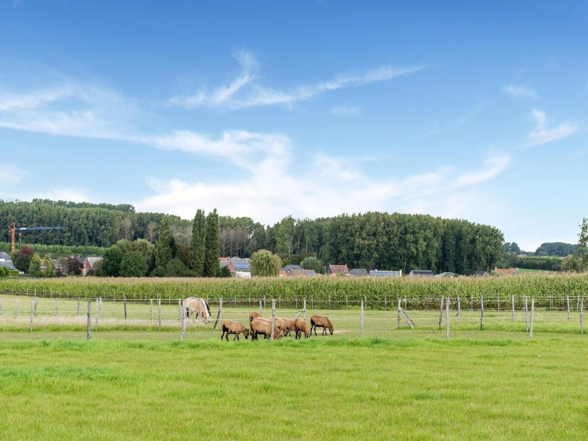 Stunning Holiday Home In Oombergen With Terrace And Garden Zottegem Zewnętrze zdjęcie